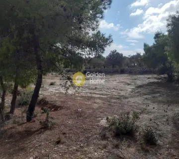 Residential 3000m<sup>2</sup> for sale photo 2384643