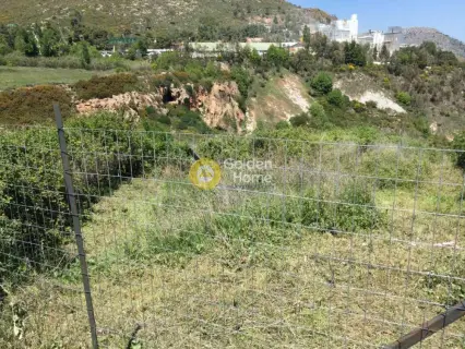 Residential 808m<sup>2</sup> for sale photo 4