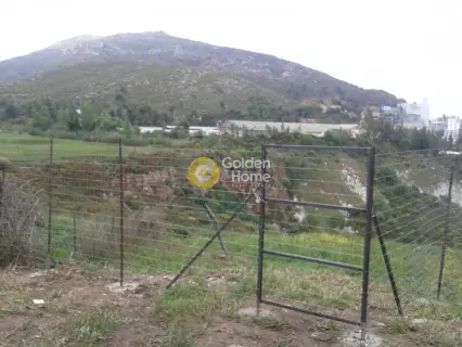 Residential 808m<sup>2</sup> for sale photo 1