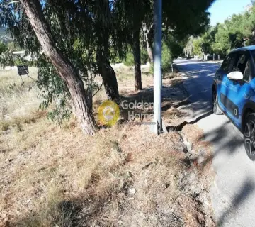 Επαγγελ. Οικόπεδο 1284τ.μ. προς πώληση φωτογραφία 2