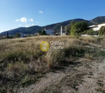 Επαγγελ. Οικόπεδο 1284τ.μ. προς πώληση φωτογραφία 3