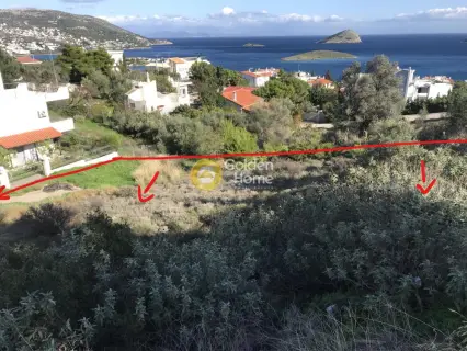 Οικιστικό 1287τ.μ. προς πώληση φωτογραφία 3