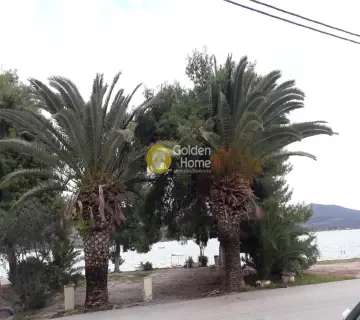 Μονοκατοικία 200τ.μ. προς πώληση φωτογραφία 4