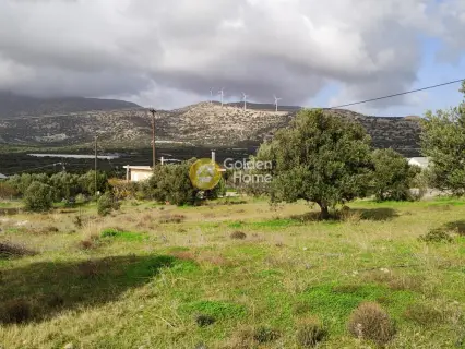 Οικιστικό 12500τ.μ. προς πώληση φωτογραφία 2