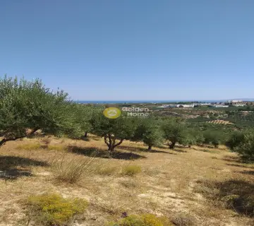 Golden Home Property Image