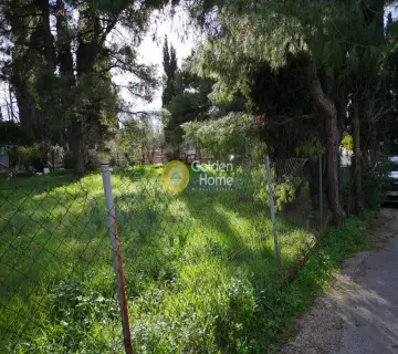 Residential 837m<sup>2</sup> for sale photo 3