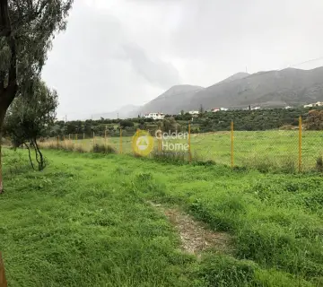 Professional Plot 43500m<sup>2</sup> for rent photo 1