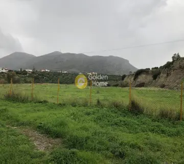 Professional Plot 43500m<sup>2</sup> for rent photo 2