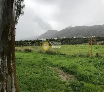Professional Plot 43500m<sup>2</sup> for rent photo 3