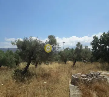 Residential 16200m<sup>2</sup> for sale photo 2671274