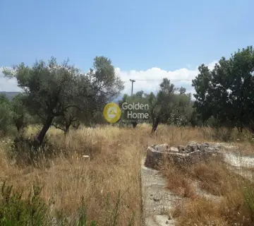 Residential 16200m<sup>2</sup> for sale photo 2671270