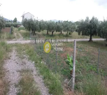 住宅 440m<sup>2</sup> for sale photo 2379789