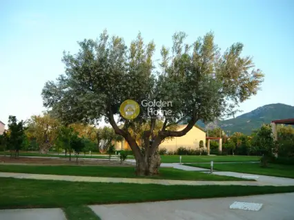 复合住宅 500m<sup>2</sup> for sale photo 8
