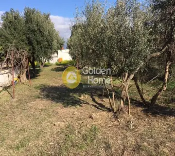 Μονοκατοικία 65τ.μ. προς πώληση φωτογραφία 7