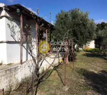 Μονοκατοικία 65τ.μ. προς πώληση φωτογραφία 5