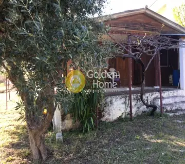 Μονοκατοικία 65τ.μ. προς πώληση φωτογραφία 13