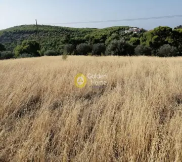 Αγροτεμάχιο 18939τ.μ. προς πώληση φωτογραφία 4411320