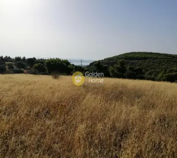 Αγροτεμάχιο 18939τ.μ. προς πώληση φωτογραφία 4411321