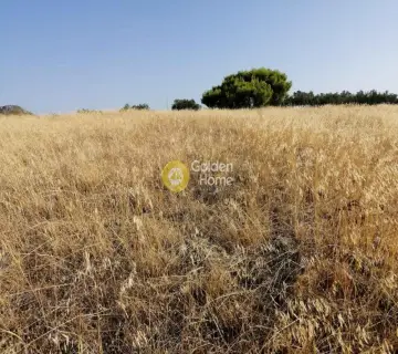 Αγροτεμάχιο 18939τ.μ. προς πώληση φωτογραφία 4411321