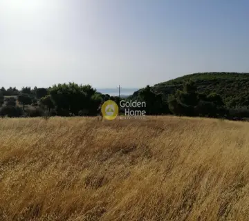 Αγροτεμάχιο 18939τ.μ. προς πώληση φωτογραφία 4411321