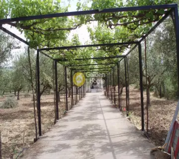 Μονοκατοικία 68τ.μ. προς πώληση φωτογραφία 2407668