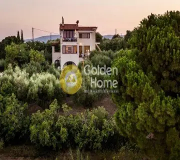 Μονοκατοικία 260τ.μ. προς πώληση φωτογραφία 26