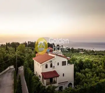 Μονοκατοικία 260τ.μ. προς πώληση φωτογραφία 40
