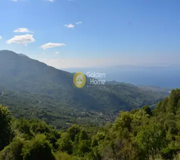 Οικιστικό 43000τ.μ. προς πώληση φωτογραφία 2385683