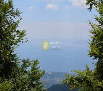 Οικιστικό 43000τ.μ. προς πώληση φωτογραφία 2385687