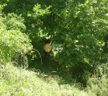 Οικιστικό 43000τ.μ. προς πώληση φωτογραφία 2385691