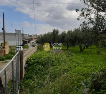 Residential 3808m<sup>2</sup> for sale photo 2391847