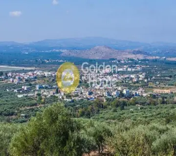 Golden Home Property Image