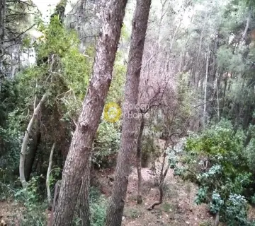 Οικιστικό 1031τ.μ. προς πώληση φωτογραφία 2400636