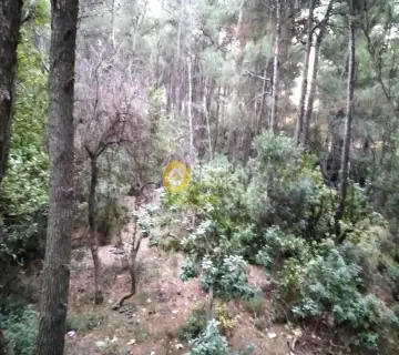 Οικιστικό 1031τ.μ. προς πώληση φωτογραφία 2400637