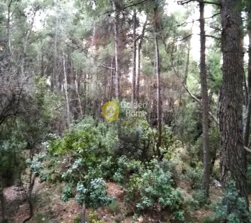 Οικιστικό 1031τ.μ. προς πώληση φωτογραφία 2400639