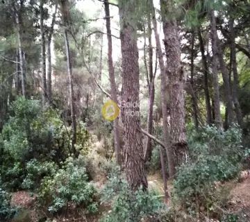 Οικιστικό 1031τ.μ. προς πώληση φωτογραφία 2400638
