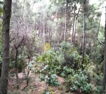 Οικιστικό 1031τ.μ. προς πώληση φωτογραφία 2400640