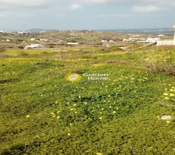 Οικιστικό 1000τ.μ. προς πώληση φωτογραφία 2412333