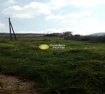 Οικιστικό 1000τ.μ. προς πώληση φωτογραφία 2