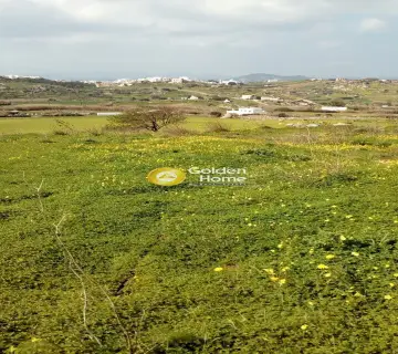 Οικιστικό 1000τ.μ. προς πώληση φωτογραφία 2412311