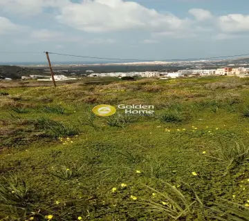 Οικιστικό 1000τ.μ. προς πώληση φωτογραφία 2412318