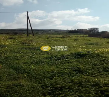 Οικιστικό 1000τ.μ. προς πώληση φωτογραφία 2412323