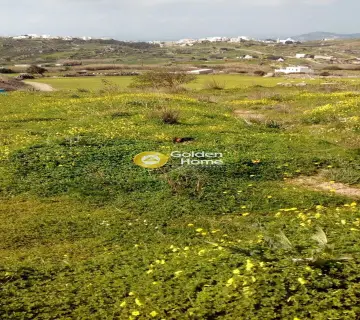 Οικιστικό 1000τ.μ. προς πώληση φωτογραφία 2412325