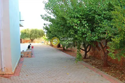 Building 400m<sup>2</sup> for sale photo 9