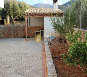 Golden Home Property Image