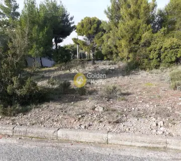 Residential 280m<sup>2</sup> for sale photo 3