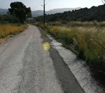 Αγροτεμάχιο 900τ.μ. προς ενοικίαση φωτογραφία 1