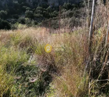 Αγροτεμάχιο 900τ.μ. προς ενοικίαση φωτογραφία 4