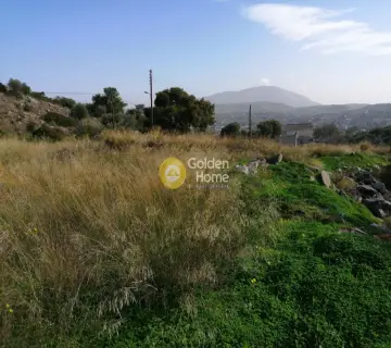 Αγροτεμάχιο 900τ.μ. προς ενοικίαση φωτογραφία 2