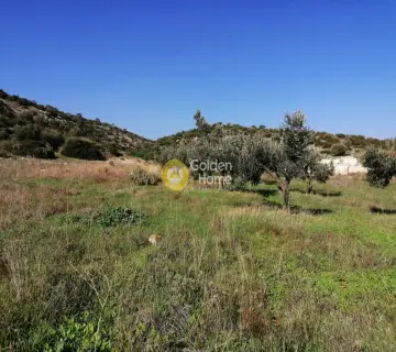 Αγροτεμάχιο 2500τ.μ. προς ενοικίαση φωτογραφία 2401562